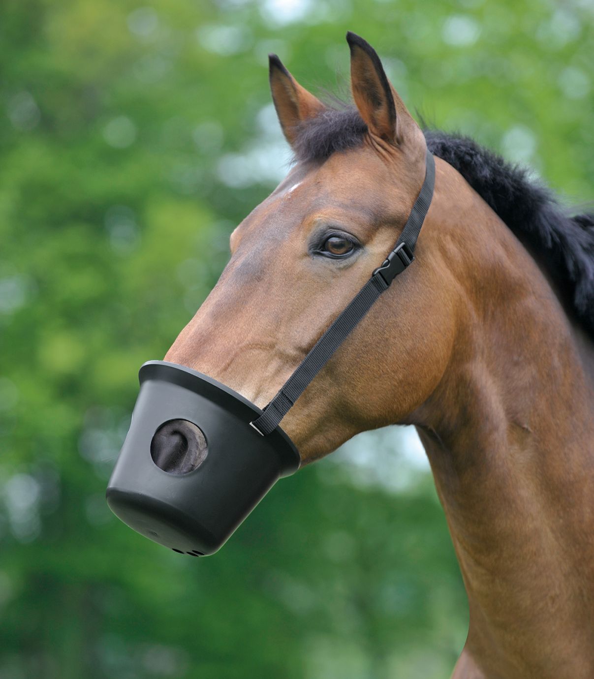 Waldhausen Maulkorb, Pony