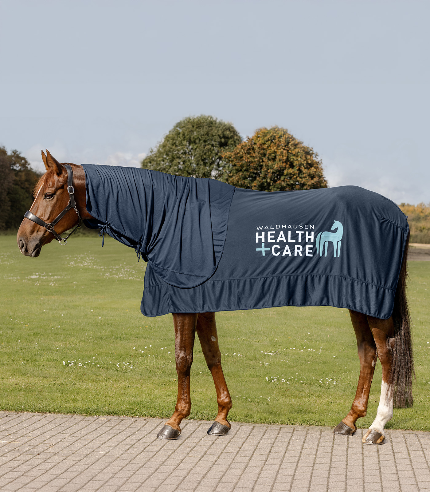 Waldhausen W-Health & Care Ice Layer Halsteil