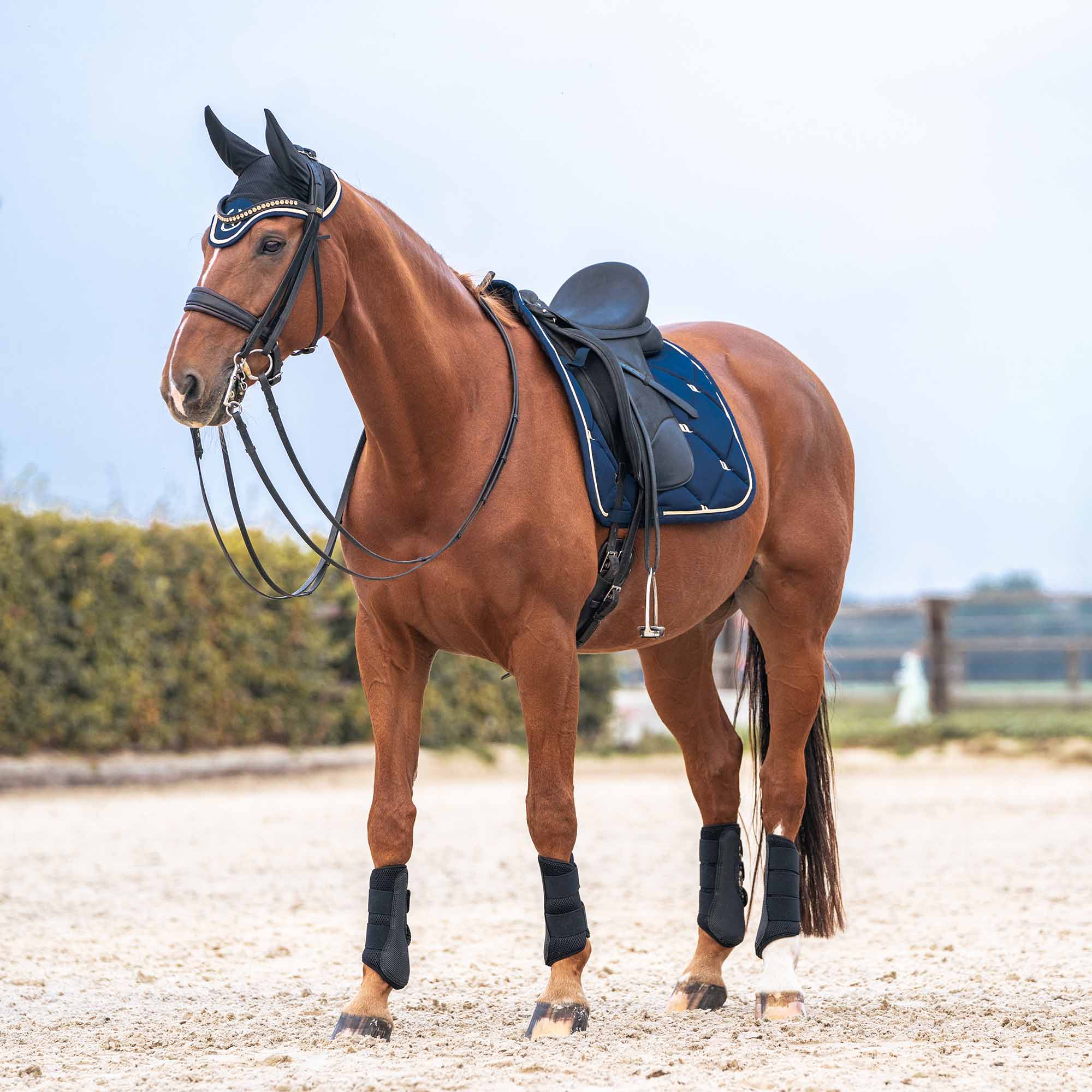 Back on Track Nights Collection Schabracke Springen, Noble Blue