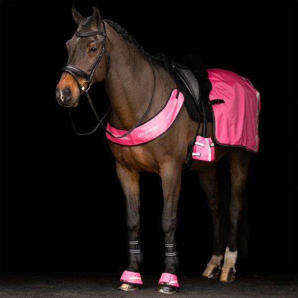 Imperial Riding Steigbügel-Zehenwärmer IRHReflective, 2er-Set