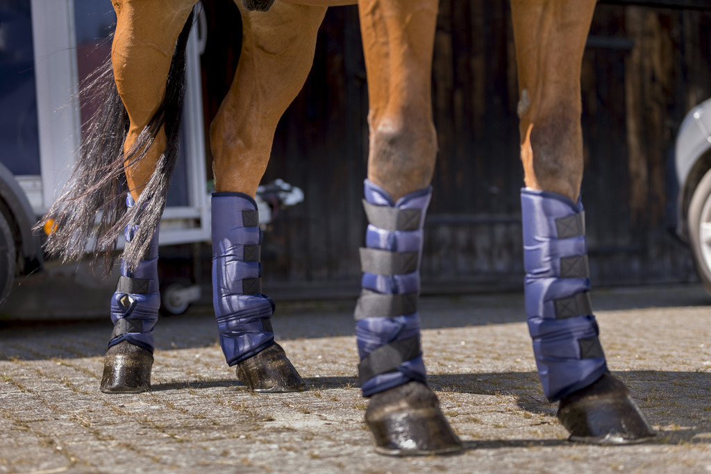 Riding World Niedrige Transportgamaschen, Warmblut