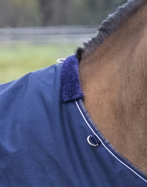 EQUITHÈME "TYREX 600 D" Decke, 450g Füllung, Pferdedecke, marineblau/grau, Weidedecke