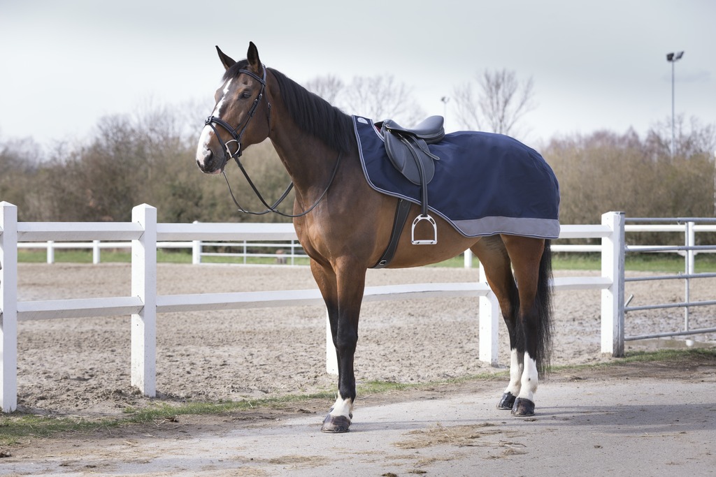 EQUITHÈME "TYREX 600D", Nierendecke, marineblau/grau, anti-pilling Micro-Polarfleece, Ausreitdecke