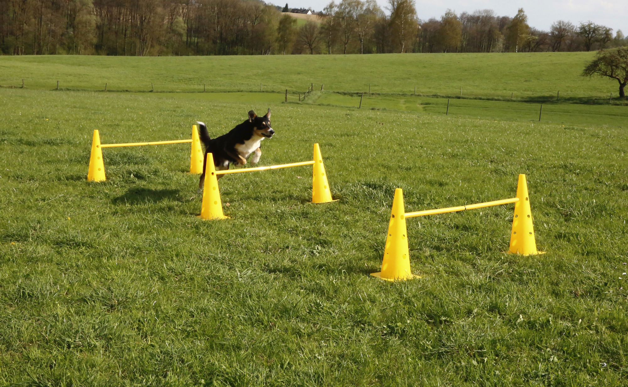 Kerbl Pylonen-Hürden Set "Agility", gelb, 9-teilig