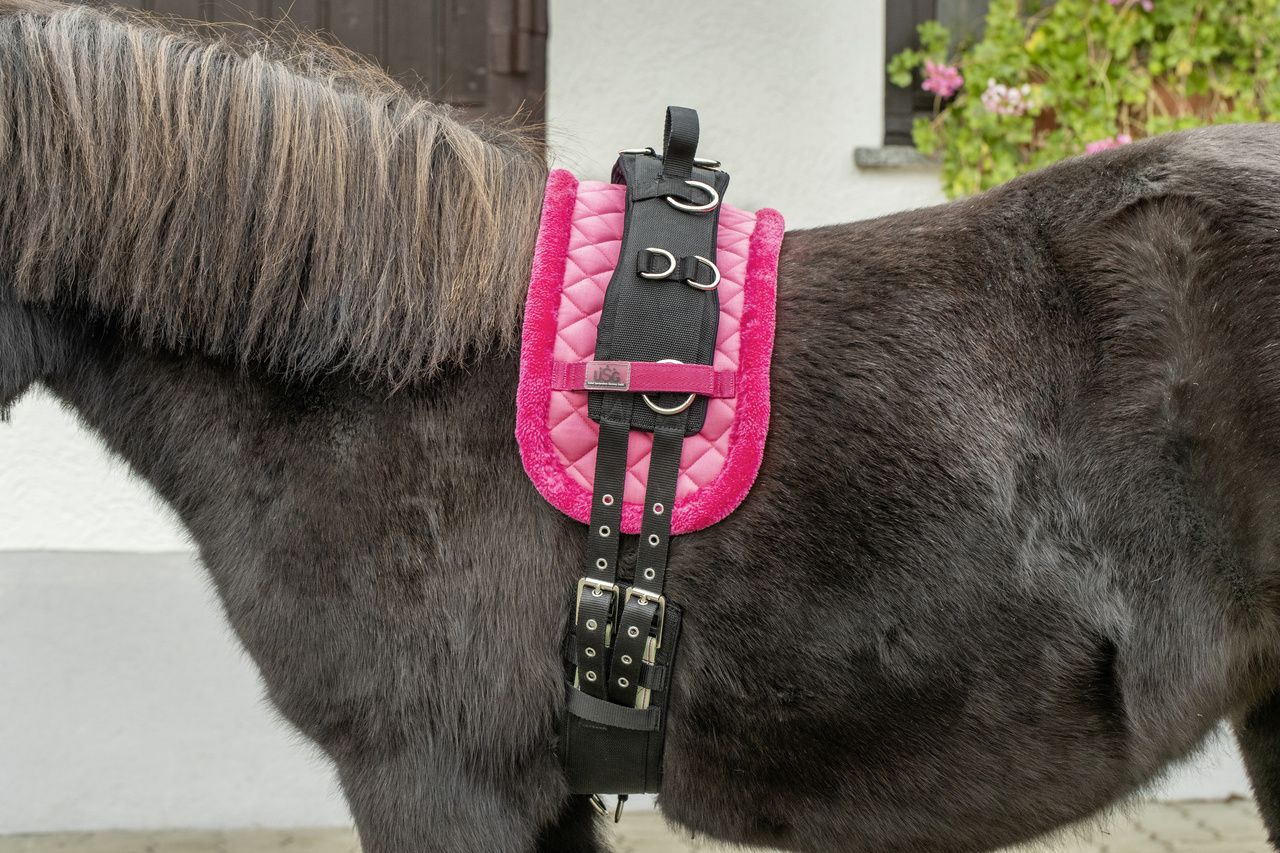 USG Mini-Shetty Longiergurt, schwarz