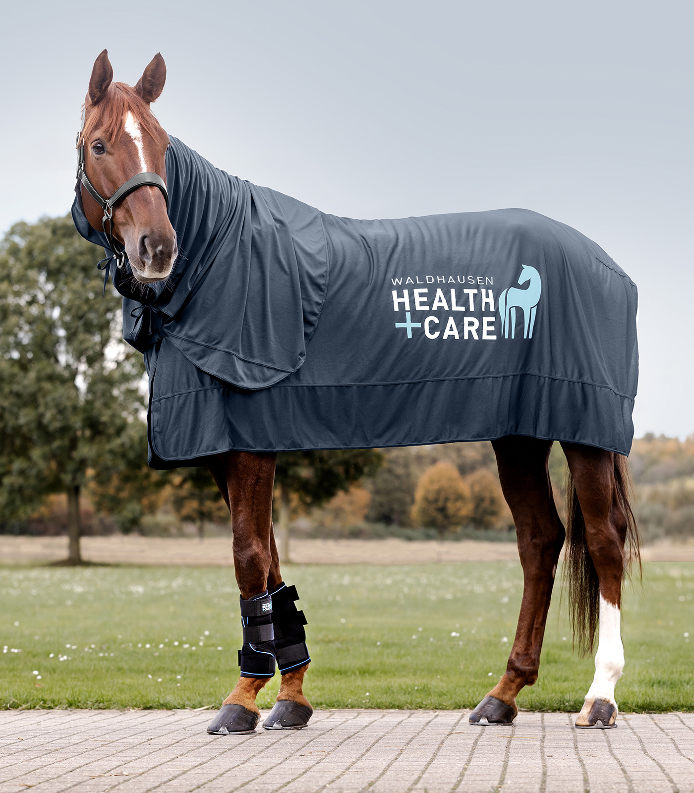 Waldhausen W-Health & Care Ice Layer Halsteil