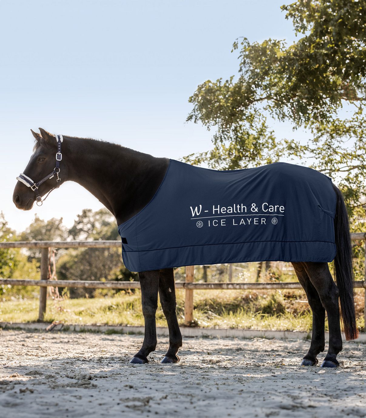 Kühldecke W-Health & Care Ice Layer Decke