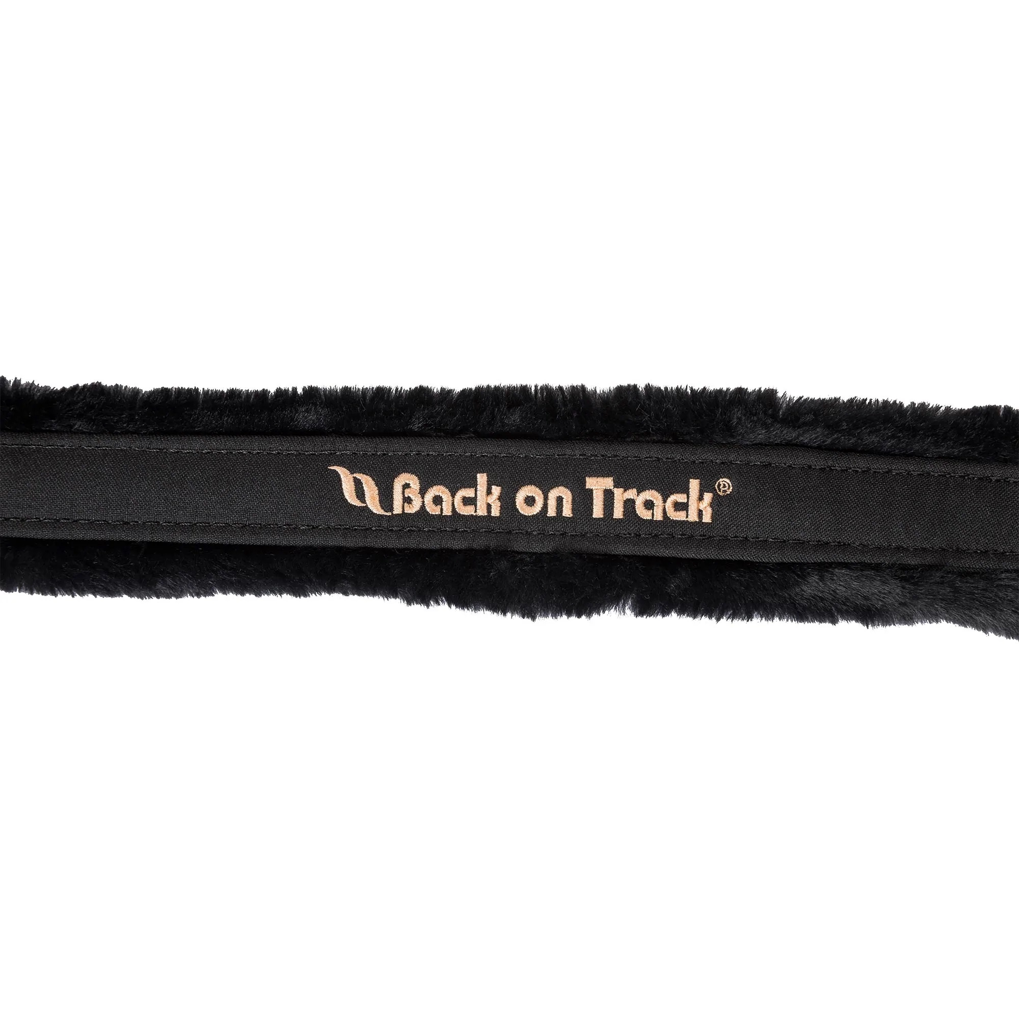 Back on Track Haze Kollektion Halfter, schwarz/rosegold