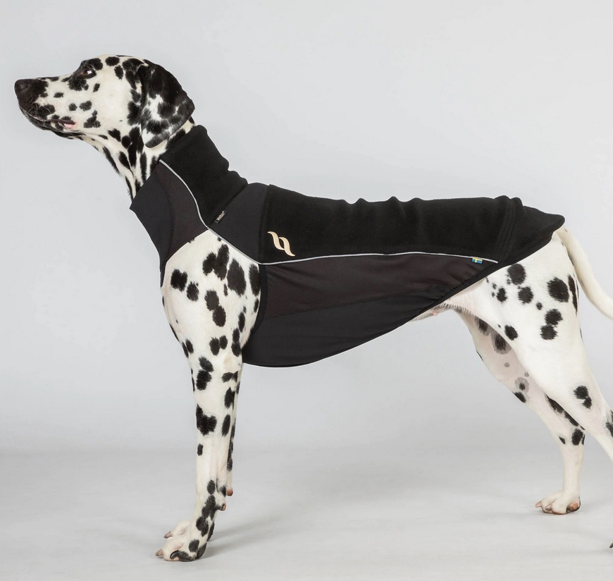 Back on Track Hundefleecepullover Eddie, schwarz,45cm,Sale