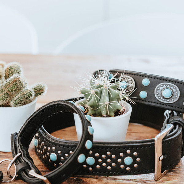 Hunter Halsband Madona