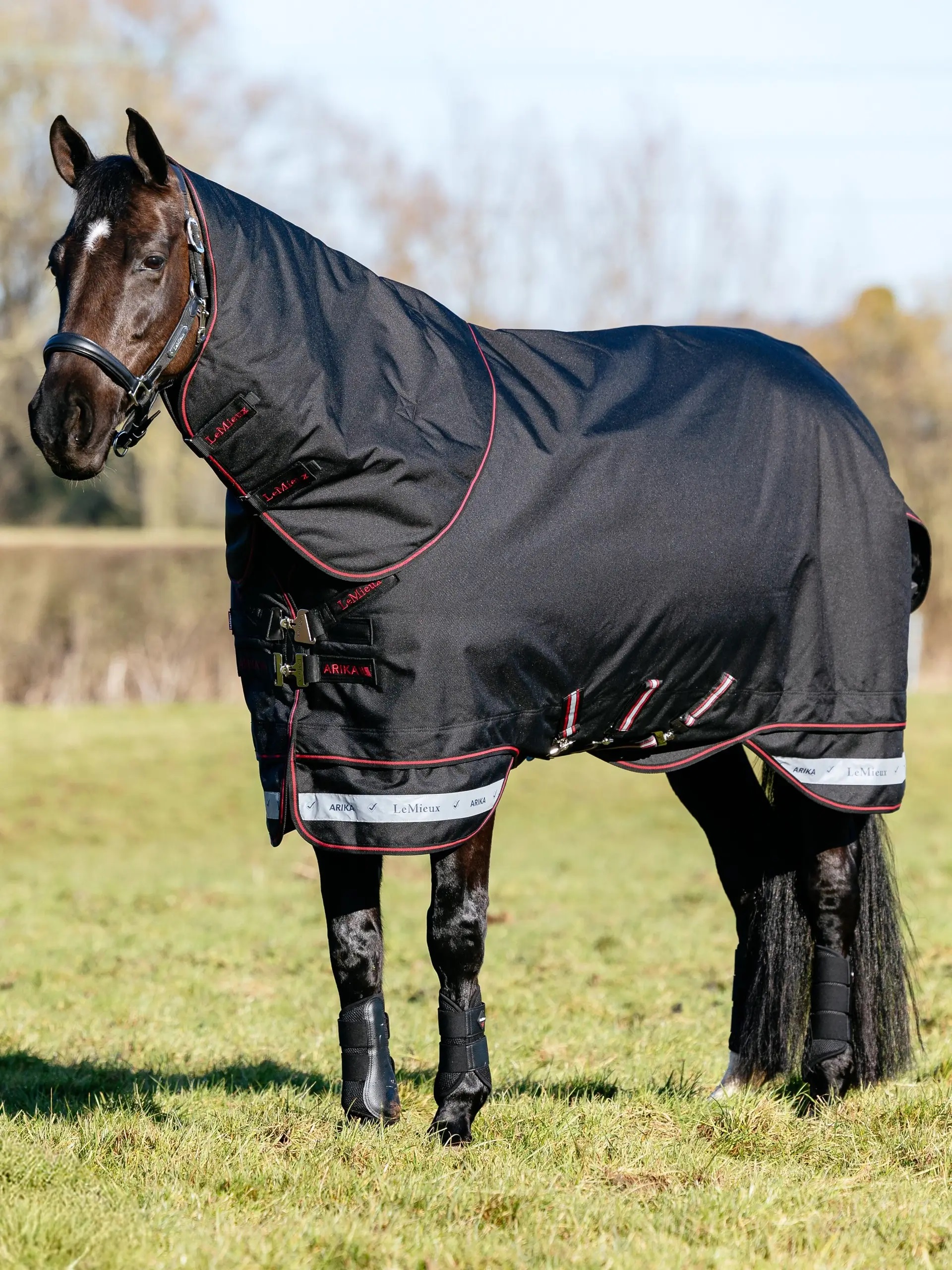 LeMieux Arika Storm-Tek Decke 50 g Füllung ,Schwarz