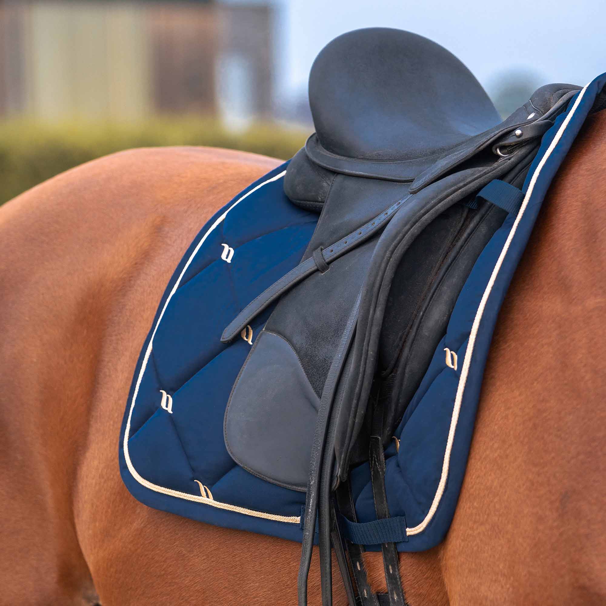 Back on Track Nights Collection Schabracke Dressur, Noble Blue