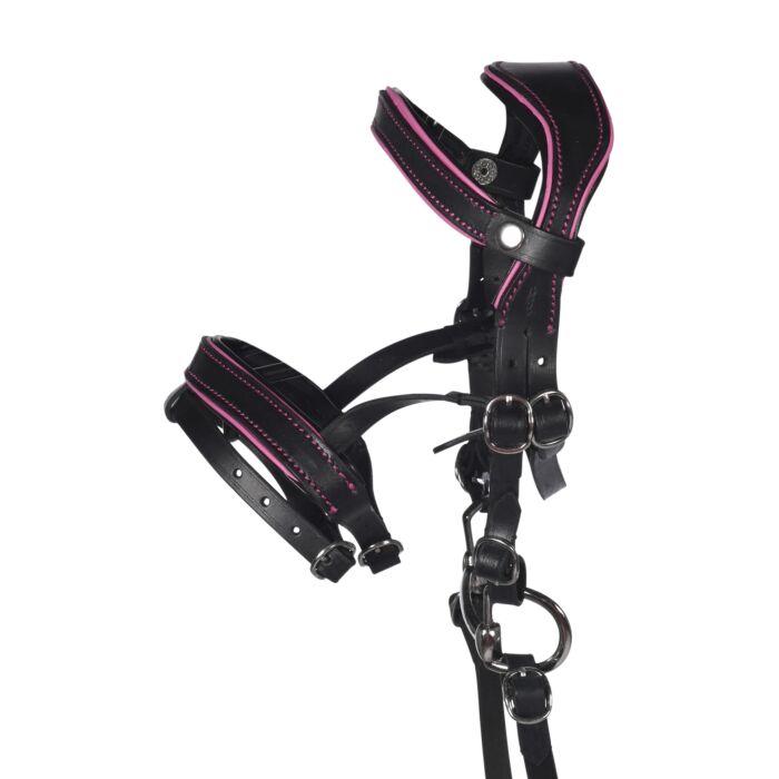 HKM Ledertrense Manchester "Hobby Horsing"